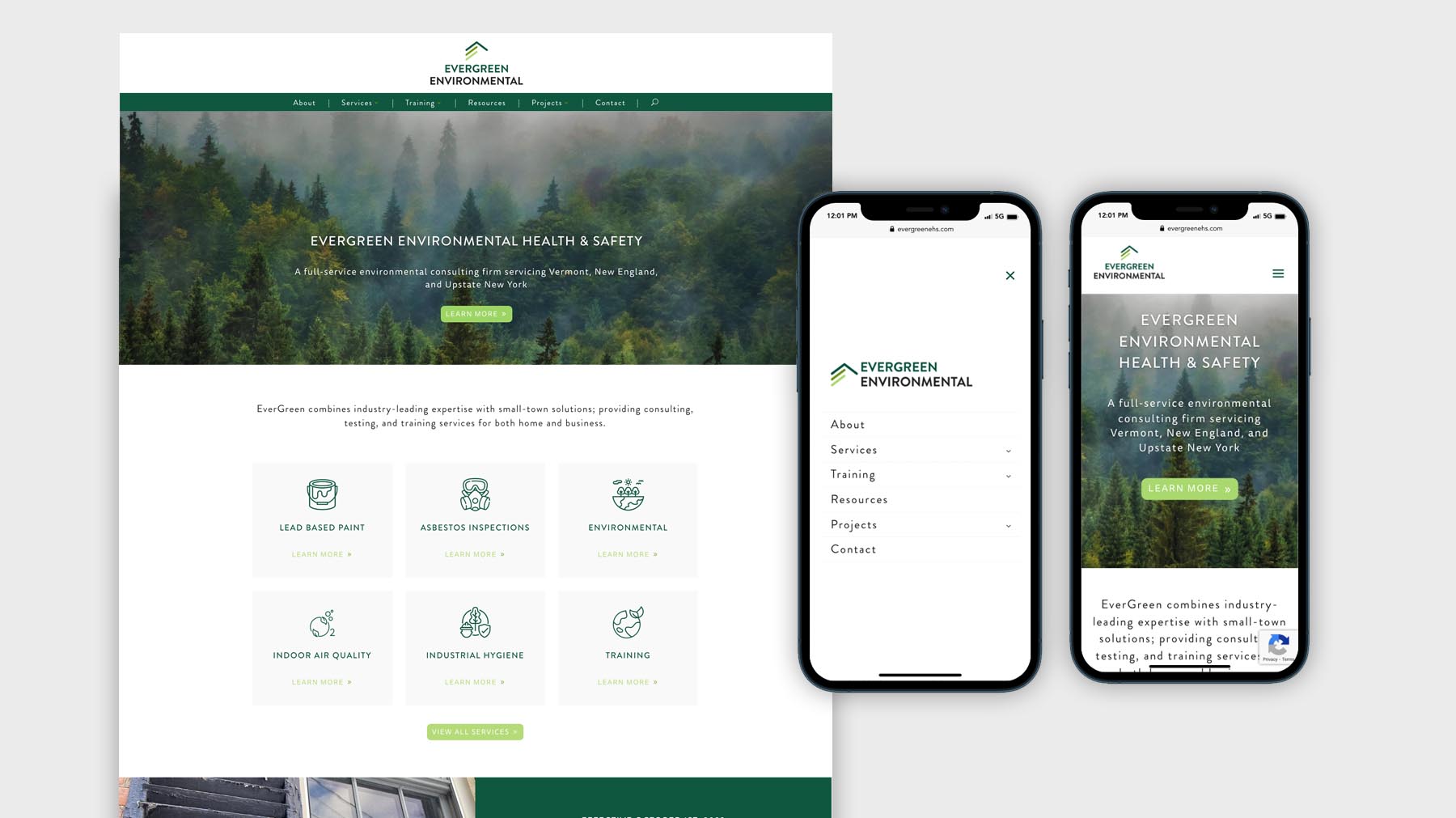 Evergreen Environmental wordpress web design and development